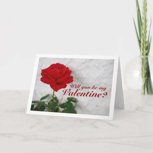 Rode Roos tegen Witte Muur Kaart (Voorkant)