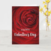 Rode Roos, Valentijn Kaart (Gele Bloem)