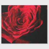 Rode roos valentine day closeup macrodesign, roman cadeaupapier (Vlak)