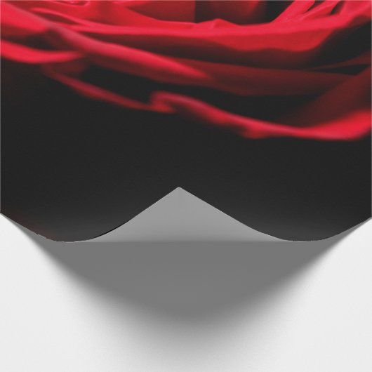 Rode roos valentine day closeup macrodesign, roman cadeaupapier (Hoek)