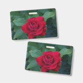 Rode Roos van dichtbij Badge (Voor- en achterkant)