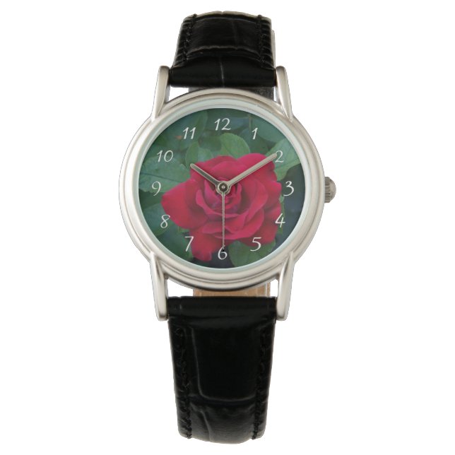 Rode Roos Van dichtbij Horloge (Voorkant)