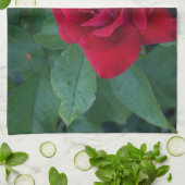 Rode Roos Van dichtbij Theedoek (Gevouwen)