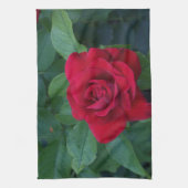Rode Roos Van dichtbij Theedoek (Verticaal)