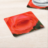 Rode Roos van het Onderzetter van de zomer (Schuin)
