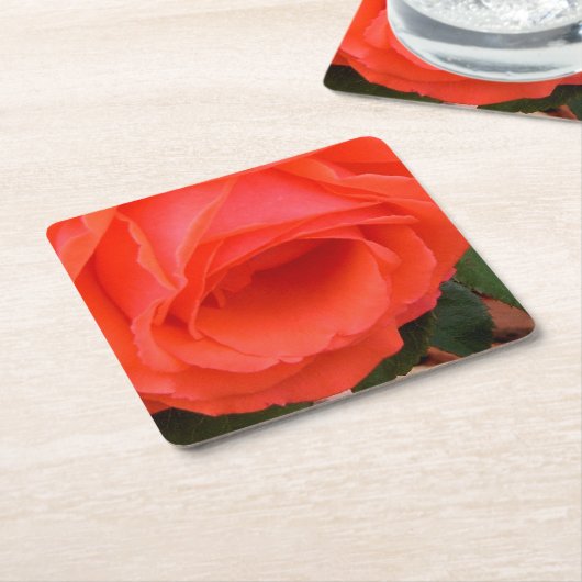 Rode Roos van het Onderzetter van de zomer (Schuin)
