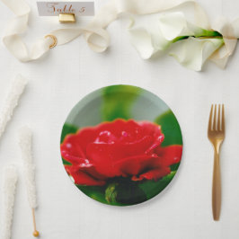 Rode Roos van passie bedekt met dauwdruppels  Papieren Bordje