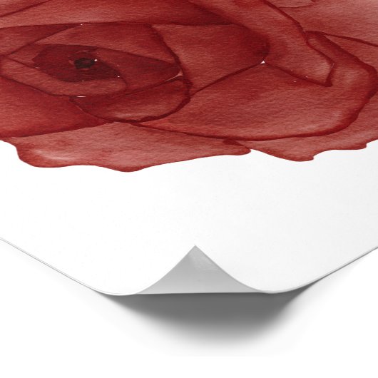 Rode roos Waterverf naar links Poster (Hoek)