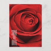 Rode Roos Wit (Elke Kleur) Glam Sla de Datum Op Aankondigingskaart (Voorkant)