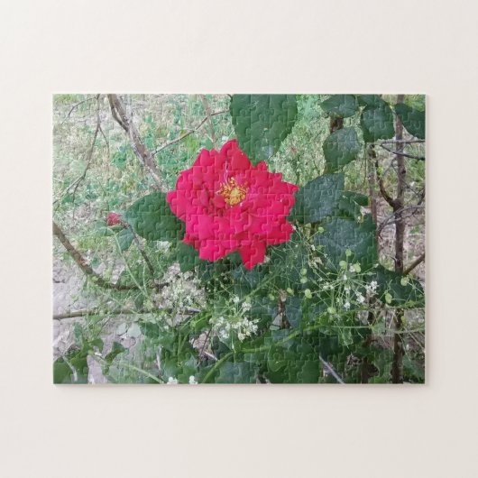 Rode roos witte bloemen legpuzzel (Horizontaal)