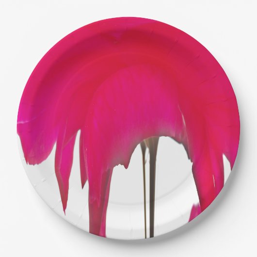 Rode Roos Witte Lucht Papieren Bordjes (Voorkant)