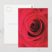 Rode roosknop abstracte bloemige werveling briefkaart (Voorkant / Achterkant)