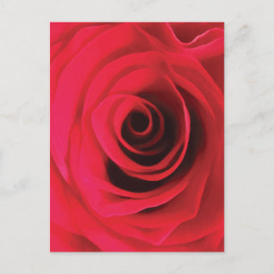 Rode roosknop abstracte bloemige werveling briefkaart