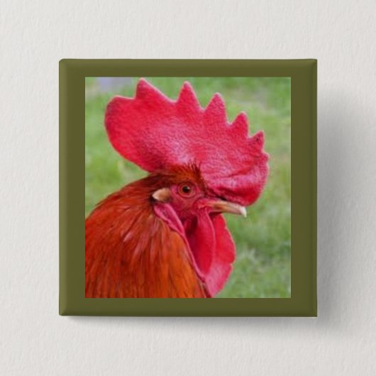 Rode Rooster Land Living Button (Voorkant)