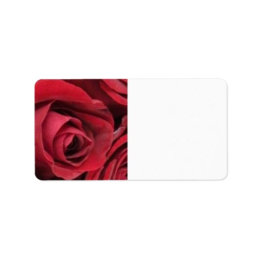 Rode Rose Mailing Labels (Voorkant)