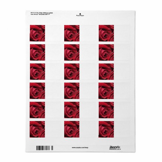 Rode Rose Mailing Labels (Full Sheet)