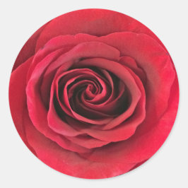 Rode Rose Ronde Vorm Stickers