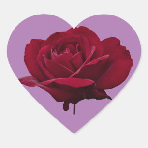 Rode Rose Schattige Hart Sticker