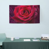 rode Rose Spandoek (Beurs)