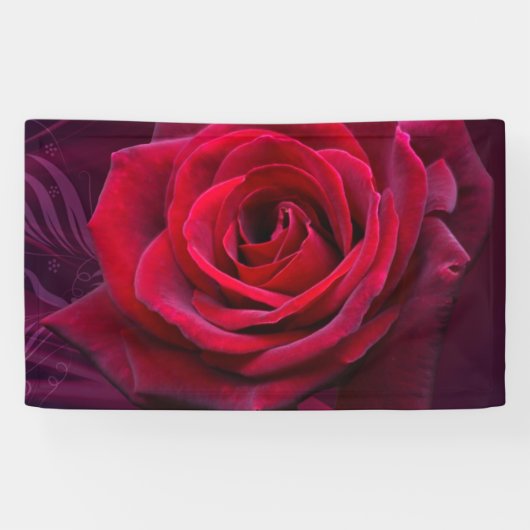 rode Rose Spandoek (Horizontaal)