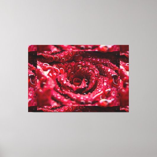 Rode Rose Top met Water Drops Premium Wrapped Canvas Afdruk (Voorkant)