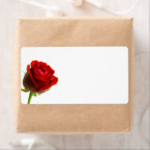 Rode Rose Verzendlabels Etiket (Insitu)
