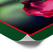 Rode Rosebud Buigspiegel Abstract Poster (Hoek)