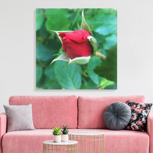 rode rosebud canvas afdruk (Insitu (Woonkamer))