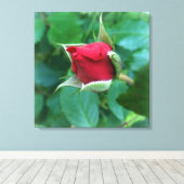 rode rosebud canvas afdruk (Insitu (Houten vloer))