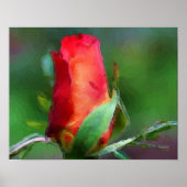 Rode Rosebud Flower Waterverf foto schilderen Poster (Voorkant)