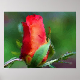 Rode Rosebud Flower Waterverf foto schilderen Poster