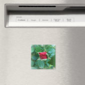 rode rosebud magneet (Insitu (Vaatwasser))