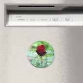 Rode Rosebud magneet (Insitu (Vaatwasser))