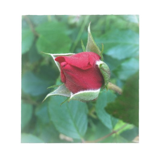 rode rosebud notitieblok (Voorkant)