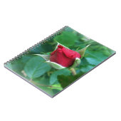 rode rosebud notitieboek (Linkerzijde)
