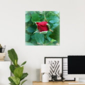 rode rosebud poster (Thuiskantoor)