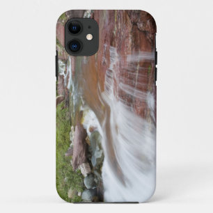 Rode rots in Baring Creek in Glacier National Case-Mate iPhone Case