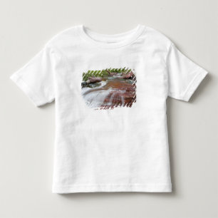 Rode rots in Baring Creek in Glacier National Kinder Shirts