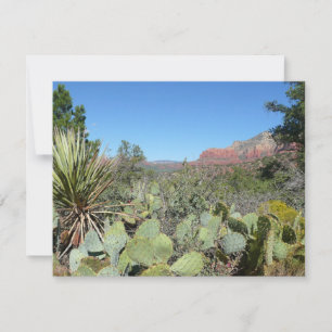 Rode rotsen en cactussen I