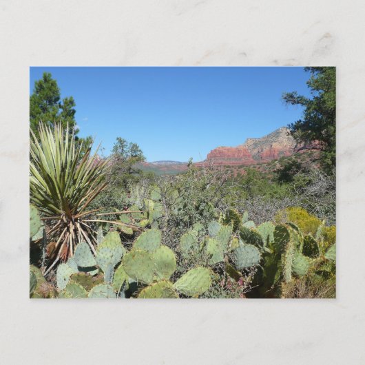 Rode rotsen en cactussen I Briefkaart (Voorkant)