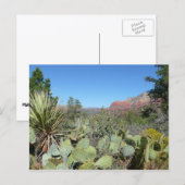 Rode rotsen en cactussen I Briefkaart (Voorkant / Achterkant)