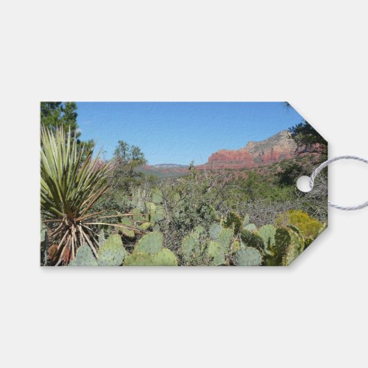 Rode rotsen en cactussen I Cadeaulabel (Voorkant (Horizontaal))