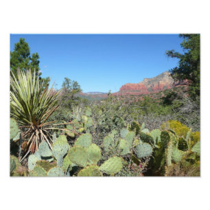 Rode rotsen en cactussen I Foto Afdruk