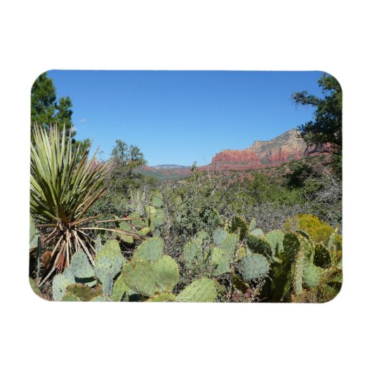 Rode rotsen en cactussen I Magneet (Horizontaal)