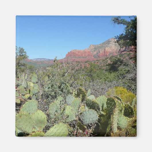 Rode rotsen en cactussen I Magneet (Voorkant)