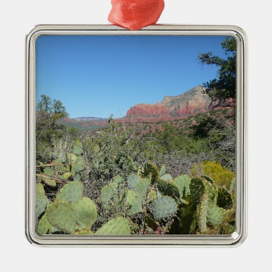 Rode rotsen en cactussen I Metalen Ornament (Voorkant)