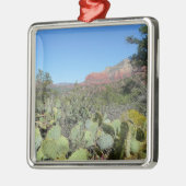 Rode rotsen en cactussen I Metalen Ornament (Links)