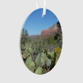Rode rotsen en cactussen I Ornament (voorkant)