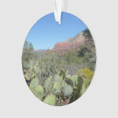 Rode rotsen en cactussen I Ornament (voorkant)
