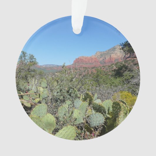 Rode rotsen en cactussen I Ornament (voorkant)